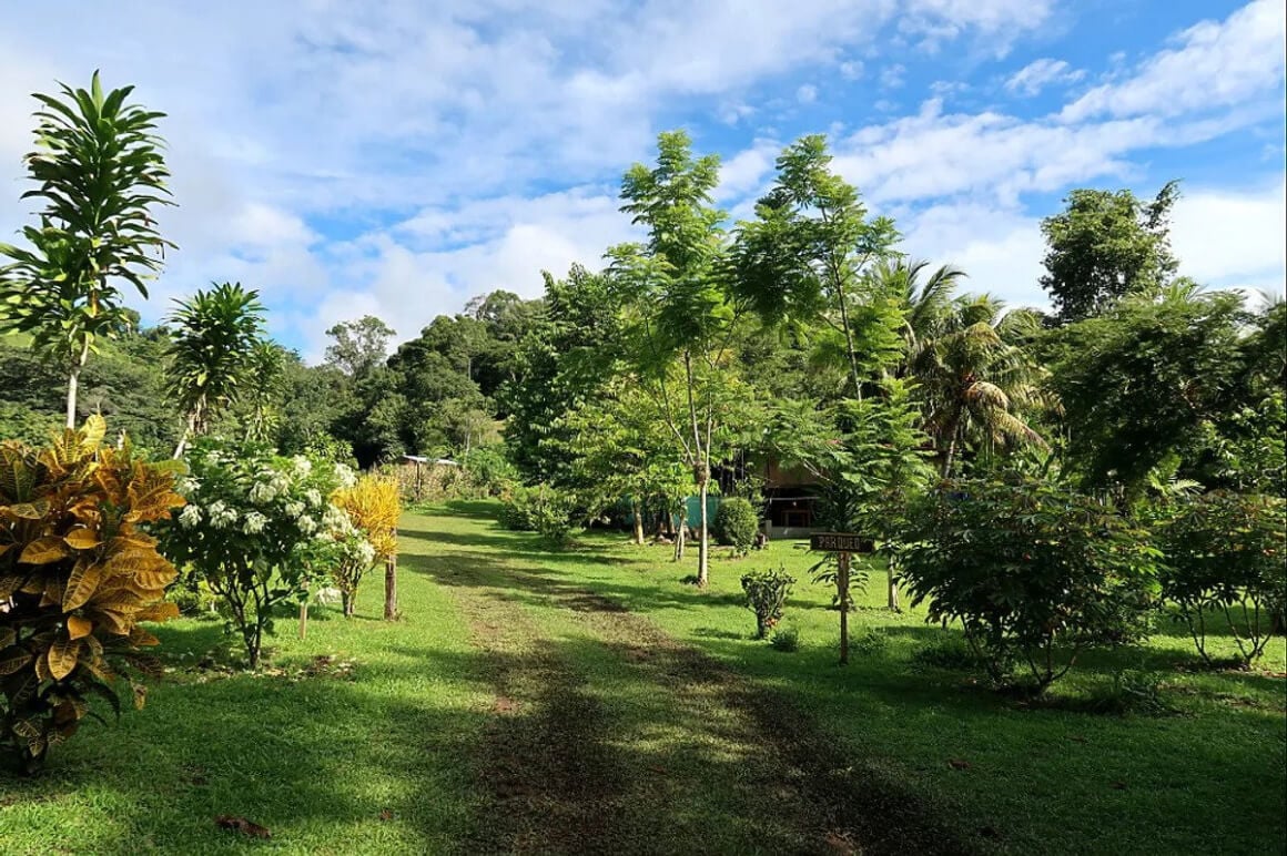 5 Day Farm Life and Yoga