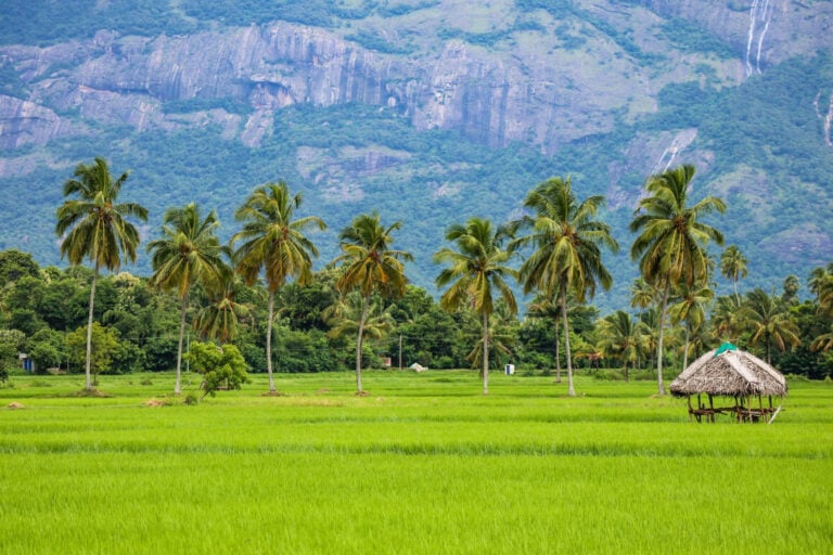 10 BEST Yoga Retreats in India (2024)