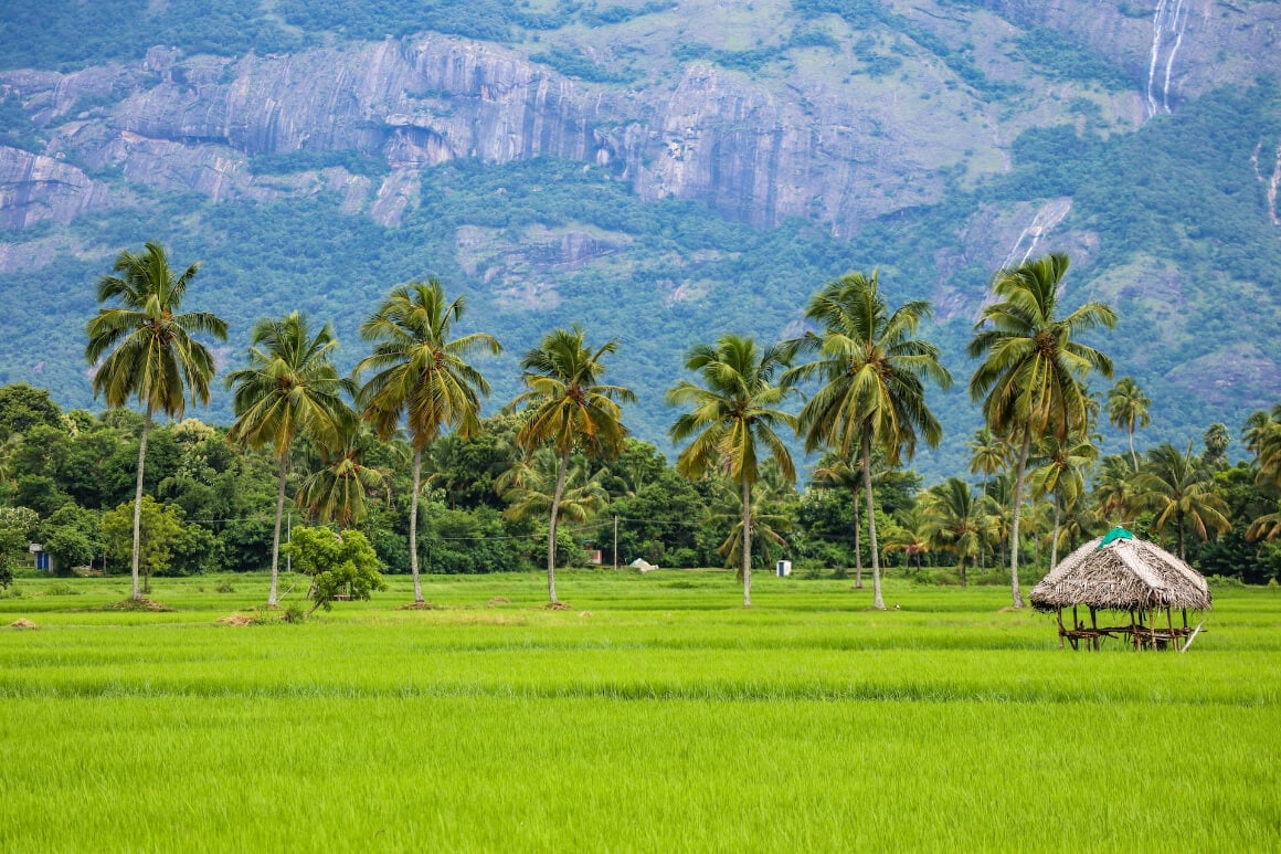Kerala India