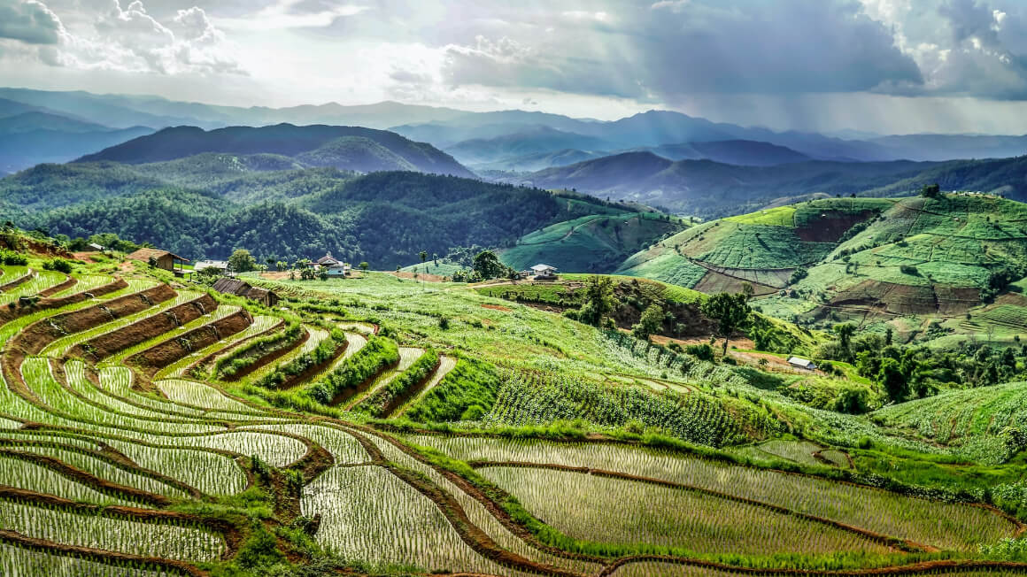 Rice fields Mae Chaem Thailand