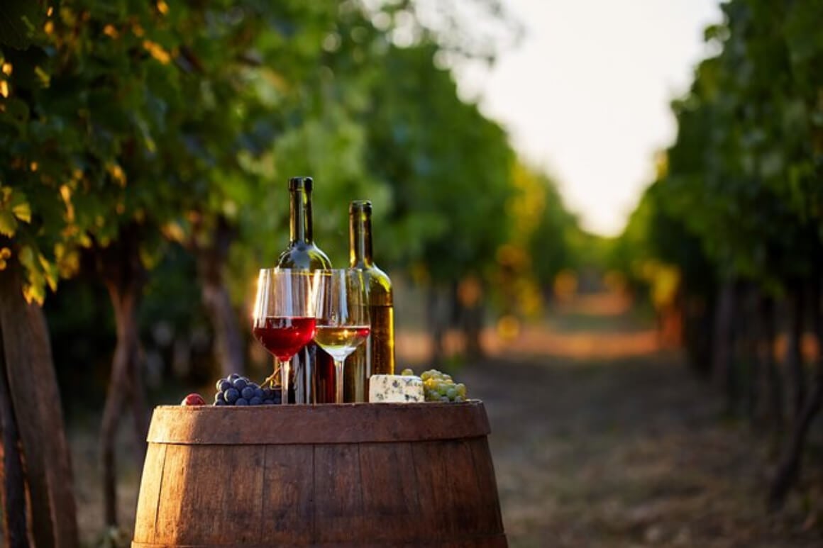 Embark on a Wine Tasting Tour