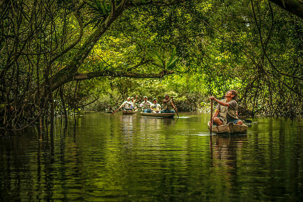7 Day Sacred Solace Jungle Meditation & Yoga Retreat
