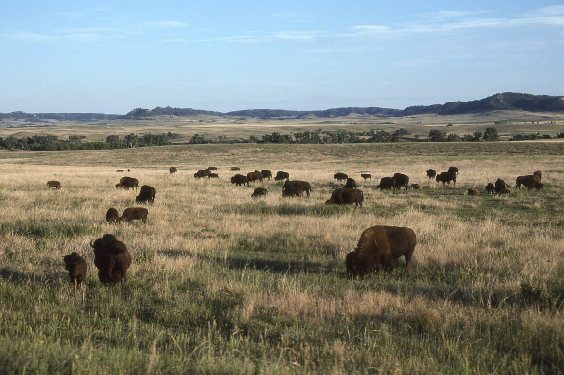 Army fort Nebraska