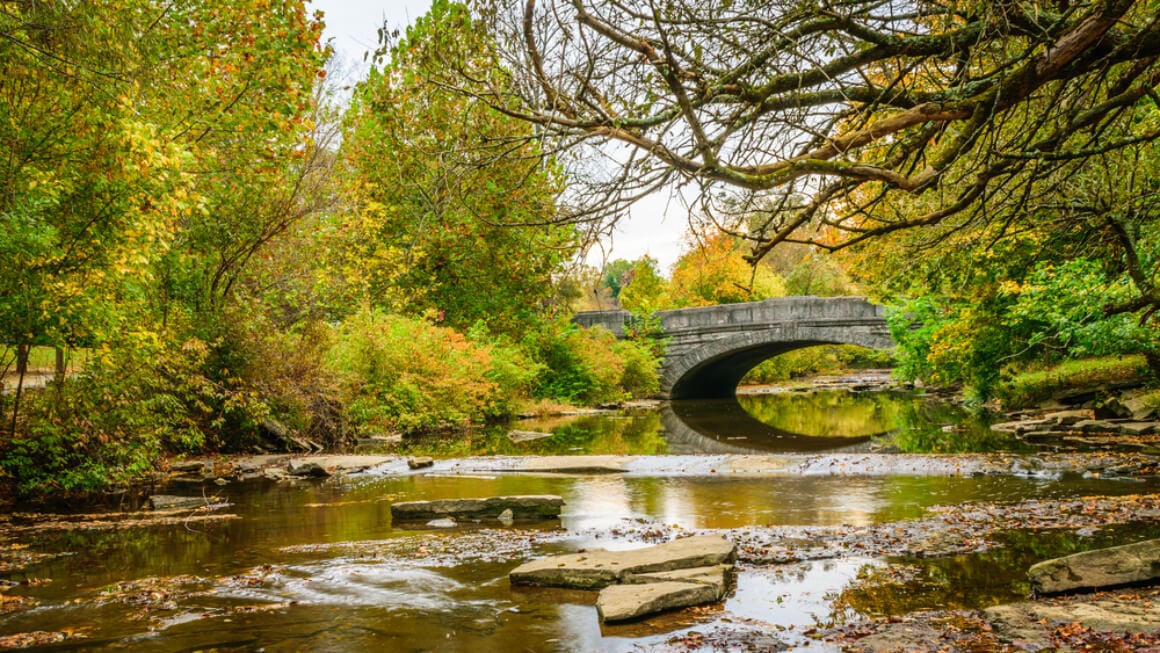 Hike Through Cherokee Park