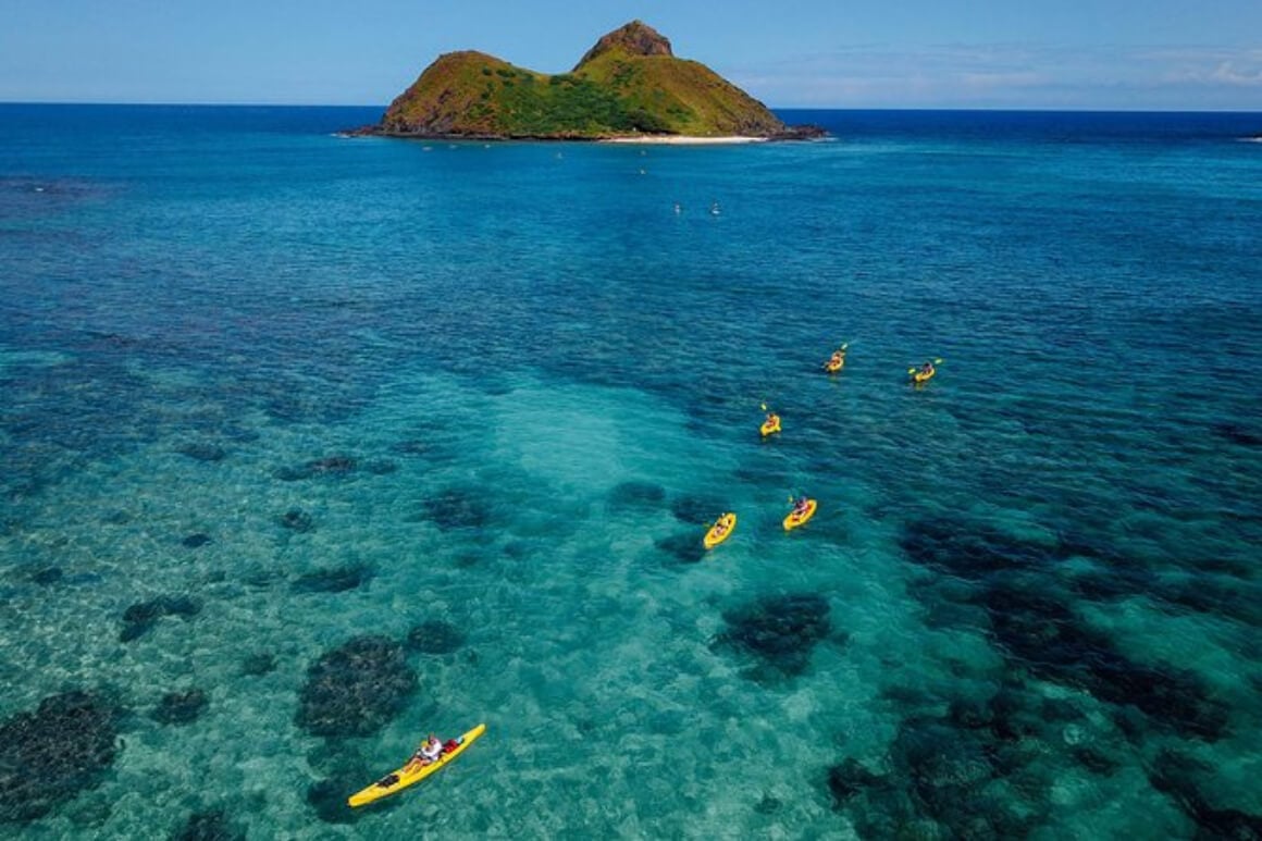 Go on A Kayaking Tour