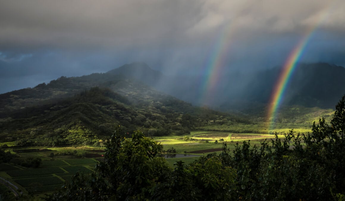 Hanalei Valley Lookout