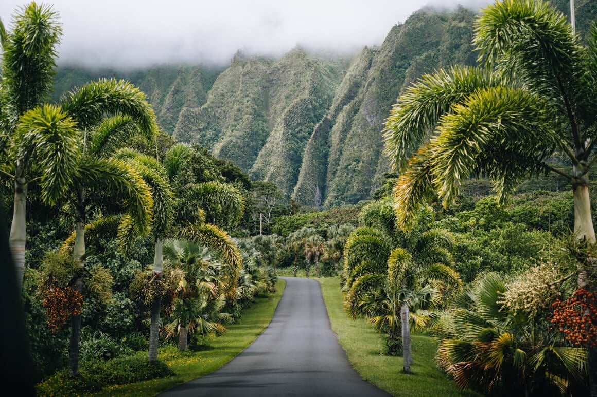 Oahu Hawaii USA