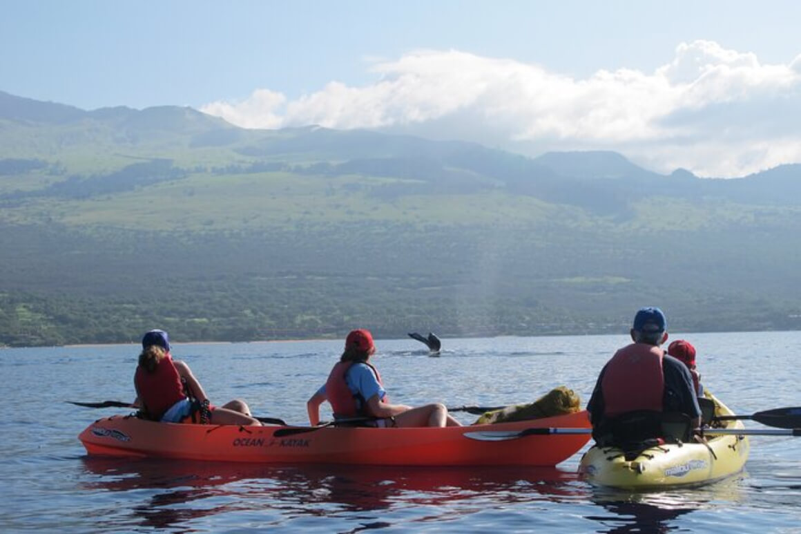 See Humpback Whales