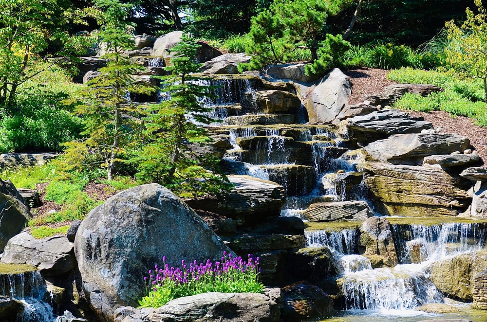 Frederik Meijer Gardens & Sculpture Park