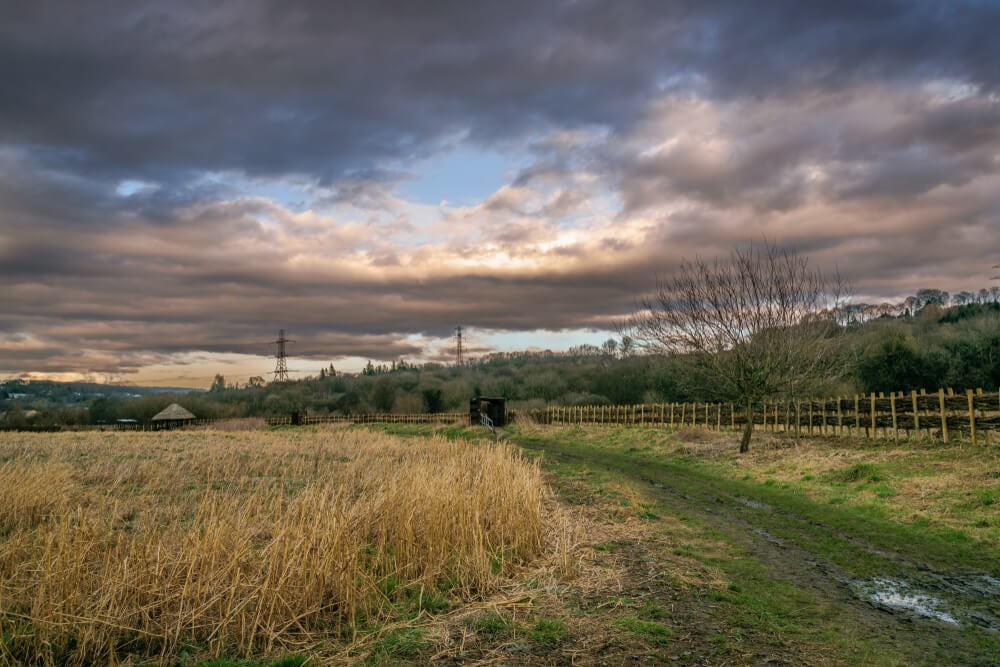 Visit the Rodley Nature Reserve