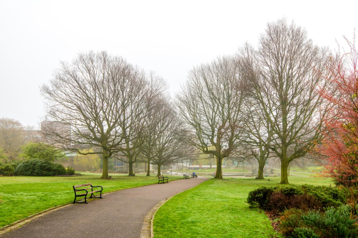 Explore the Story of Sheffield from Prehistory to Today