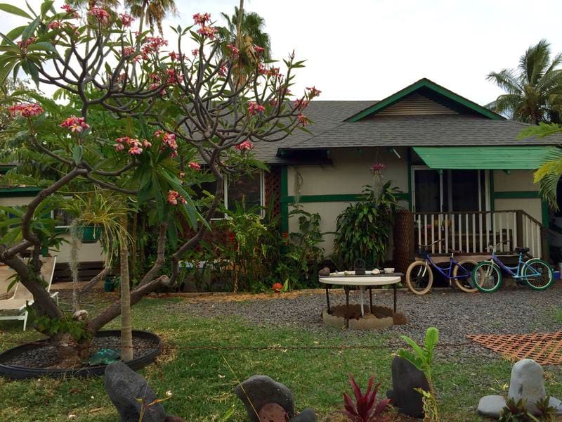 Hakuna Matata Hostel Hawaii