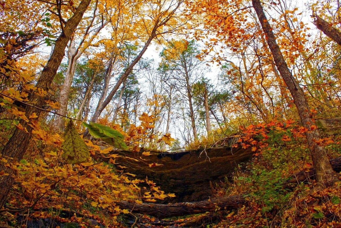 The Katy Trail, MO