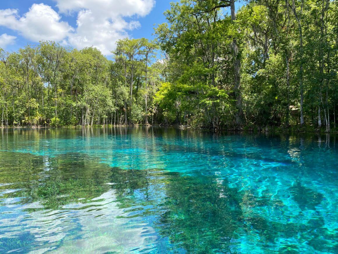 Silver Springs State Park Florida
