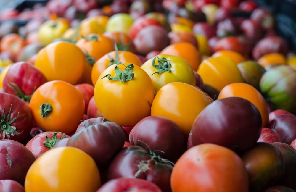 Santa Monica Farmers Market