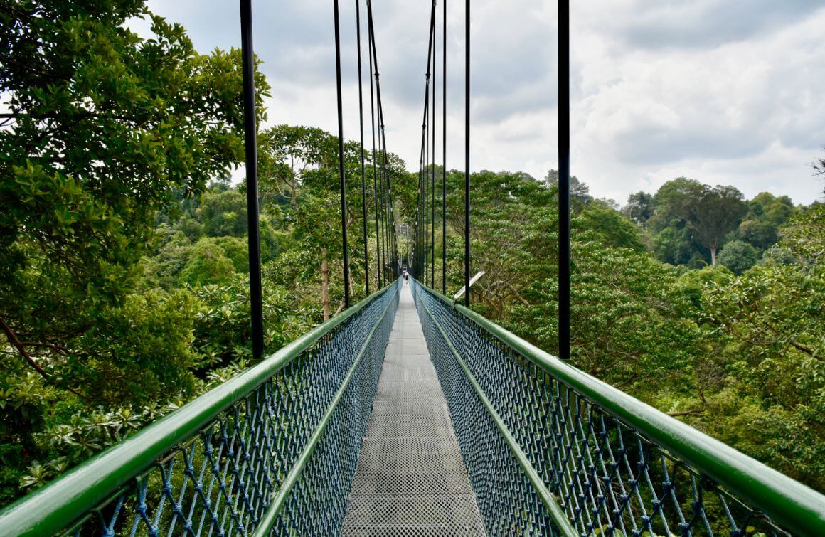Central Catchment Nature Reserve Singapore