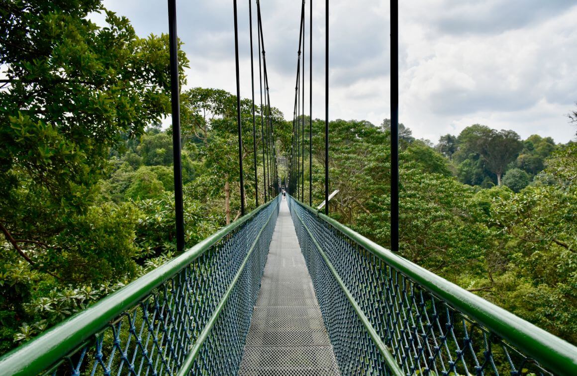 Central Catchment Nature Reserve Singapore