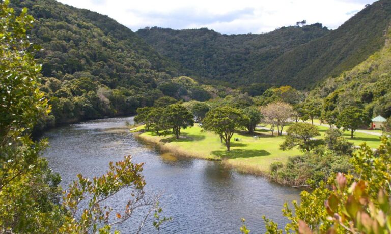 7 SWEET Winery Tours in South Africa