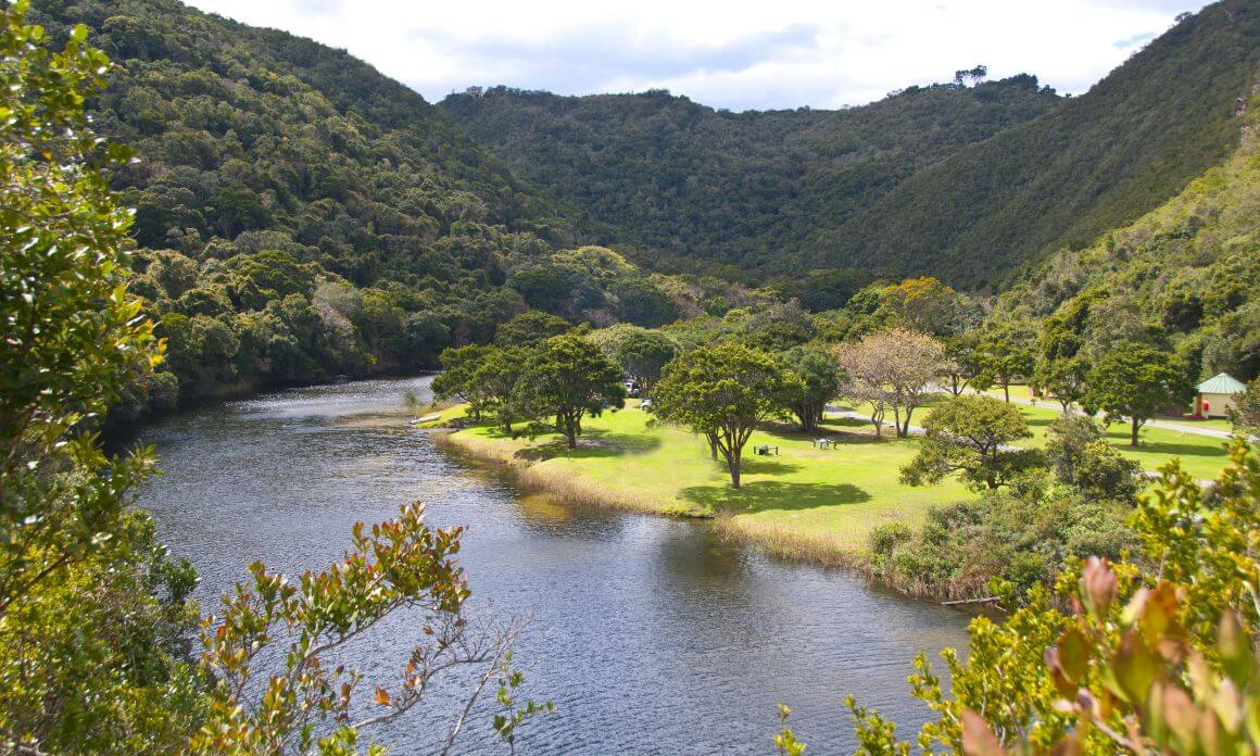  the lush green Garden Route National Park with a river running through it