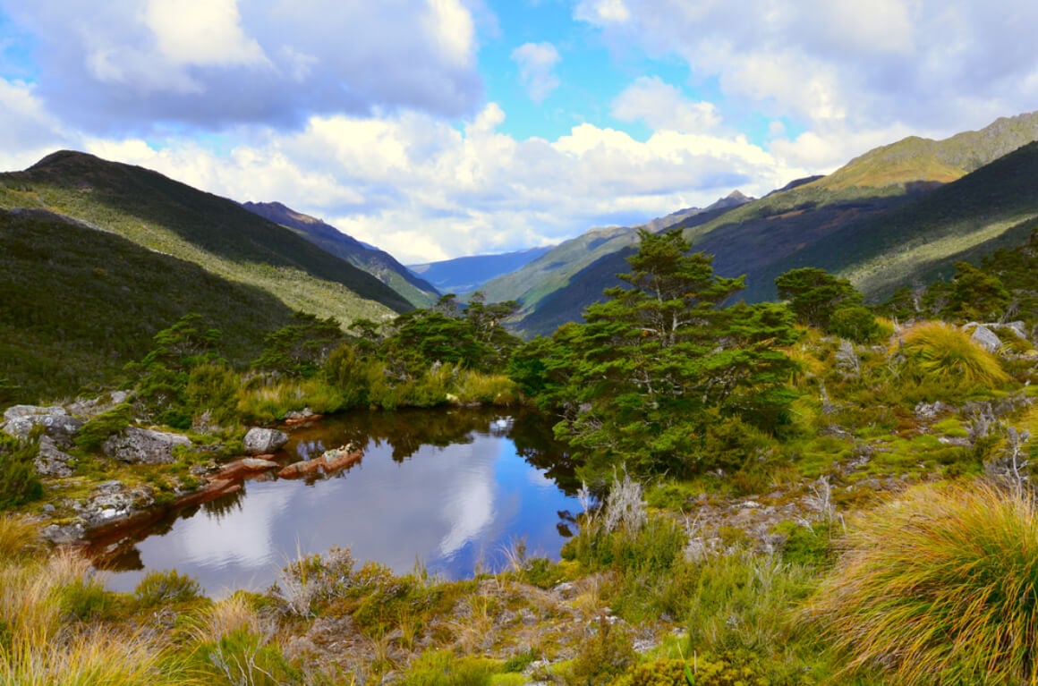 Kahurangi National Park