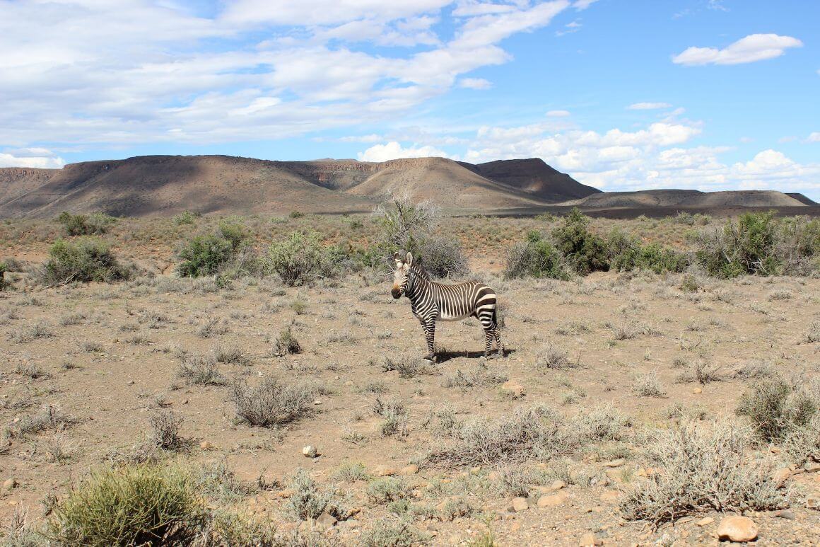 Karoo National Park