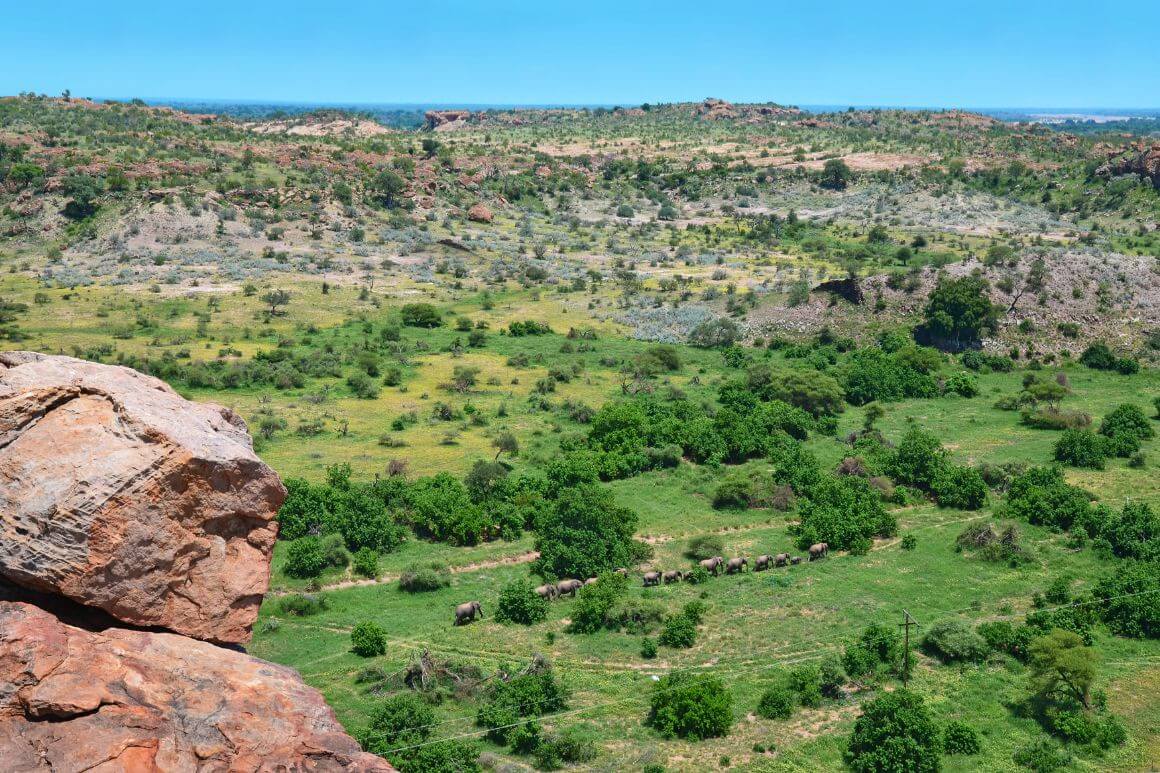 Mapungubwe National Park 