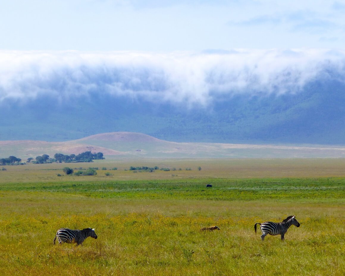 Ngorongoro National Park