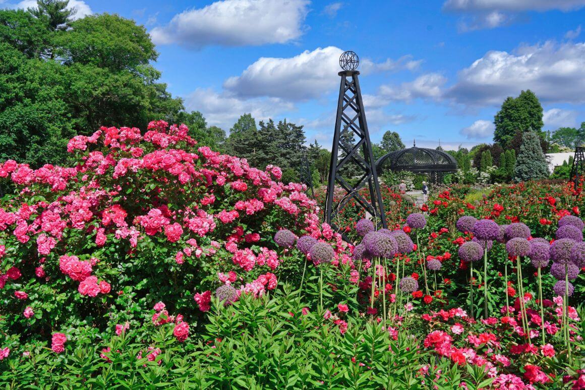 Royal Botanical Gardens in Hamilton