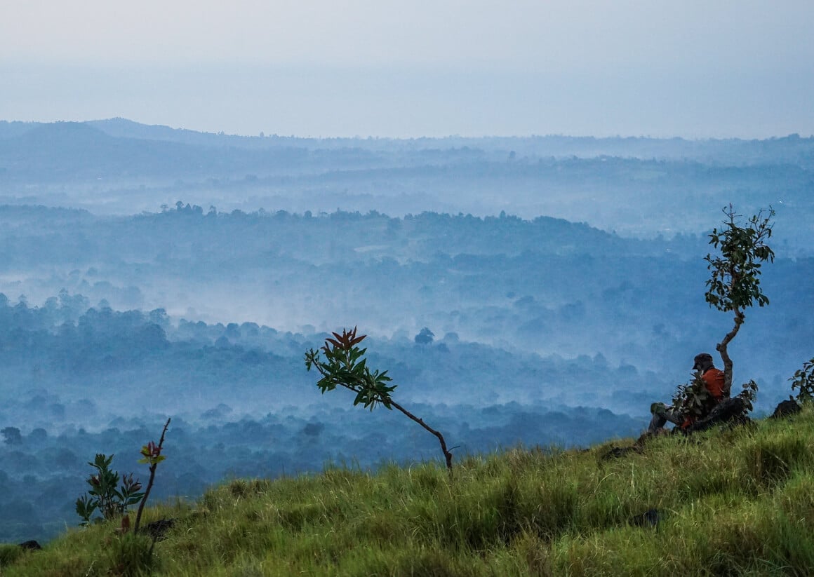 Saiwa Swamp National Park