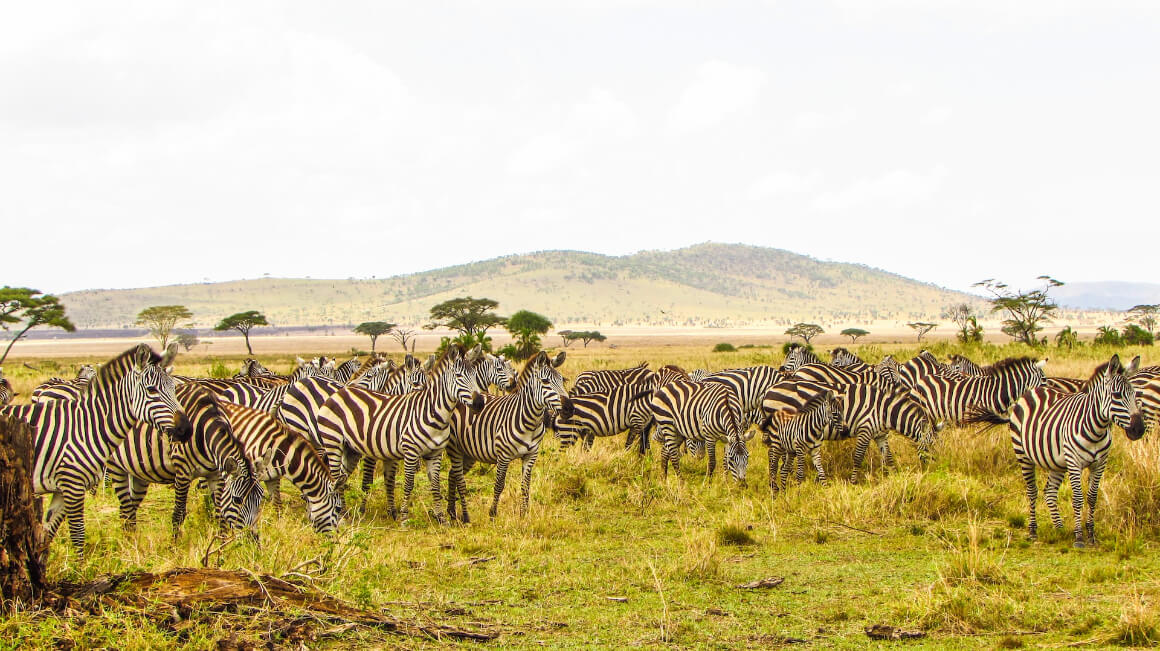 Serengeti National Park