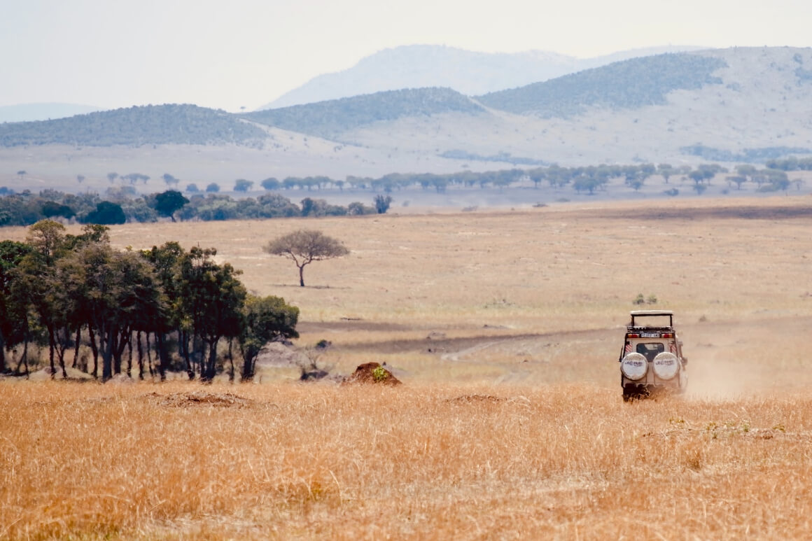 Serengeti Park in Tanzania