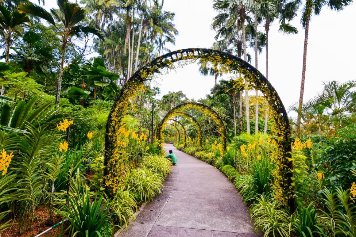 Singapore National Orchid Garden