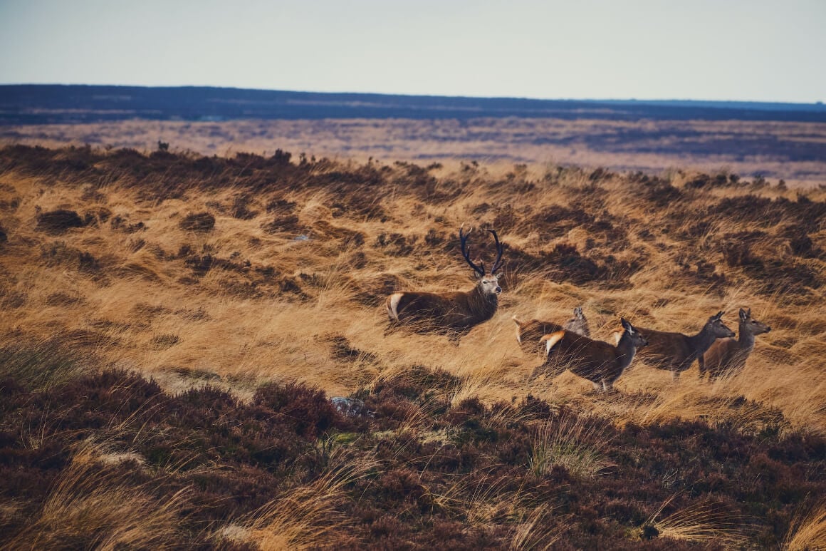 The Peak District National Park