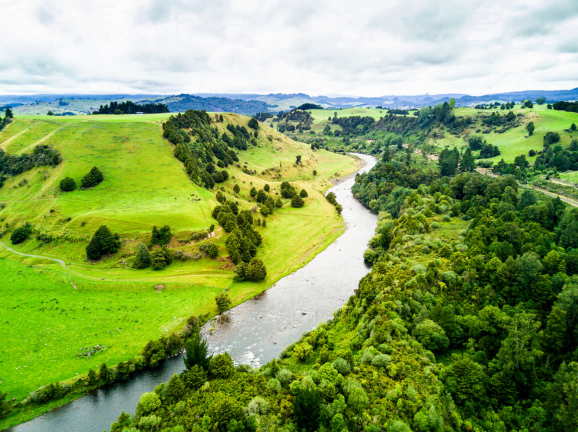 Whanganui National Park