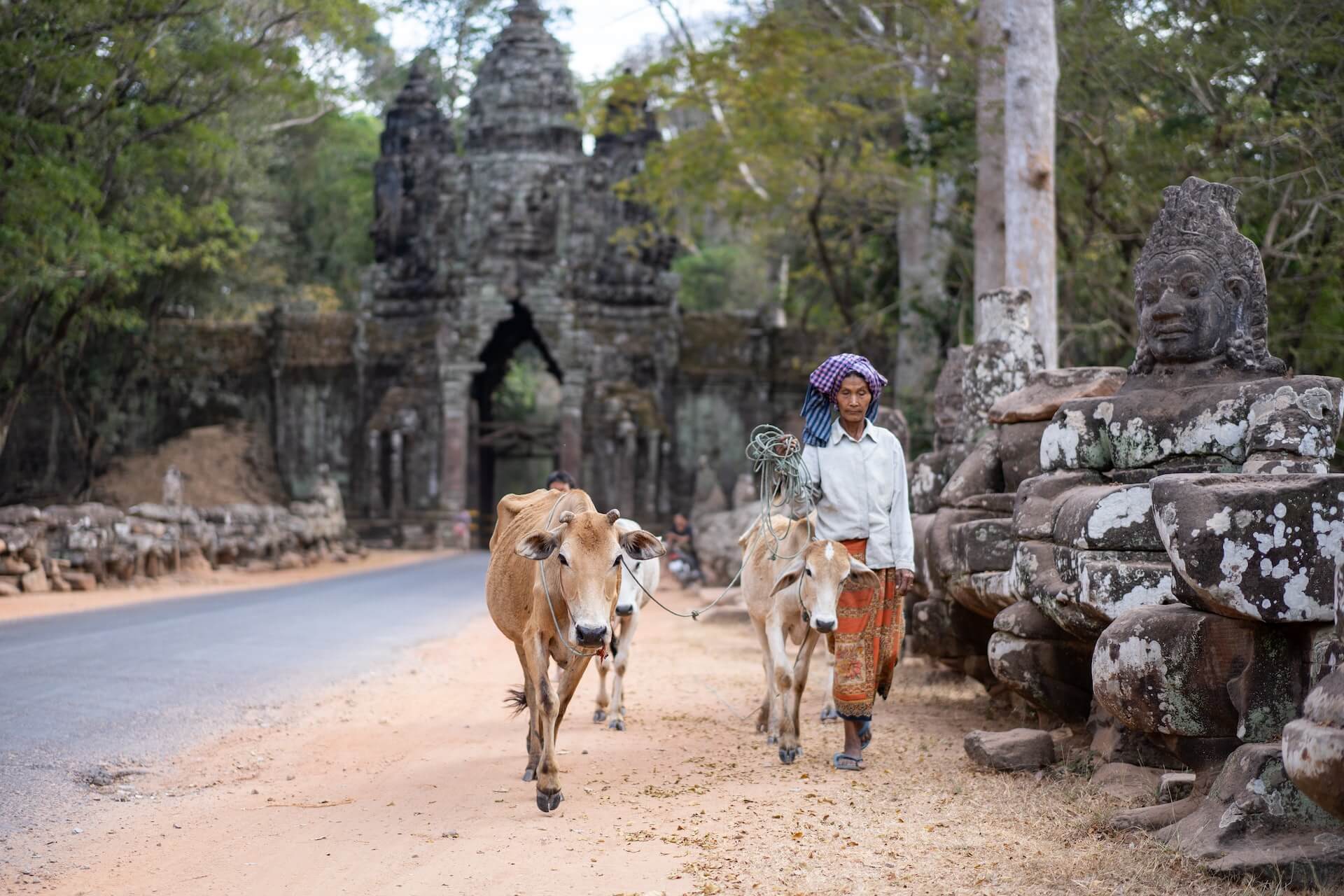 travel between siem reap and phnom penh