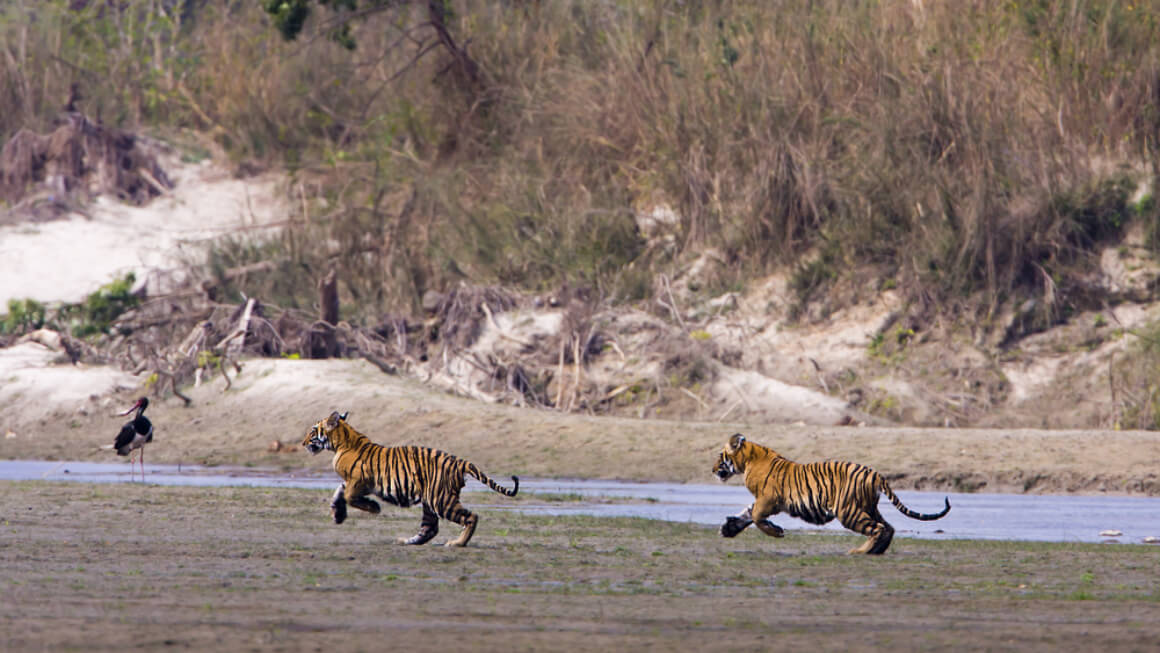 Bardia National Park