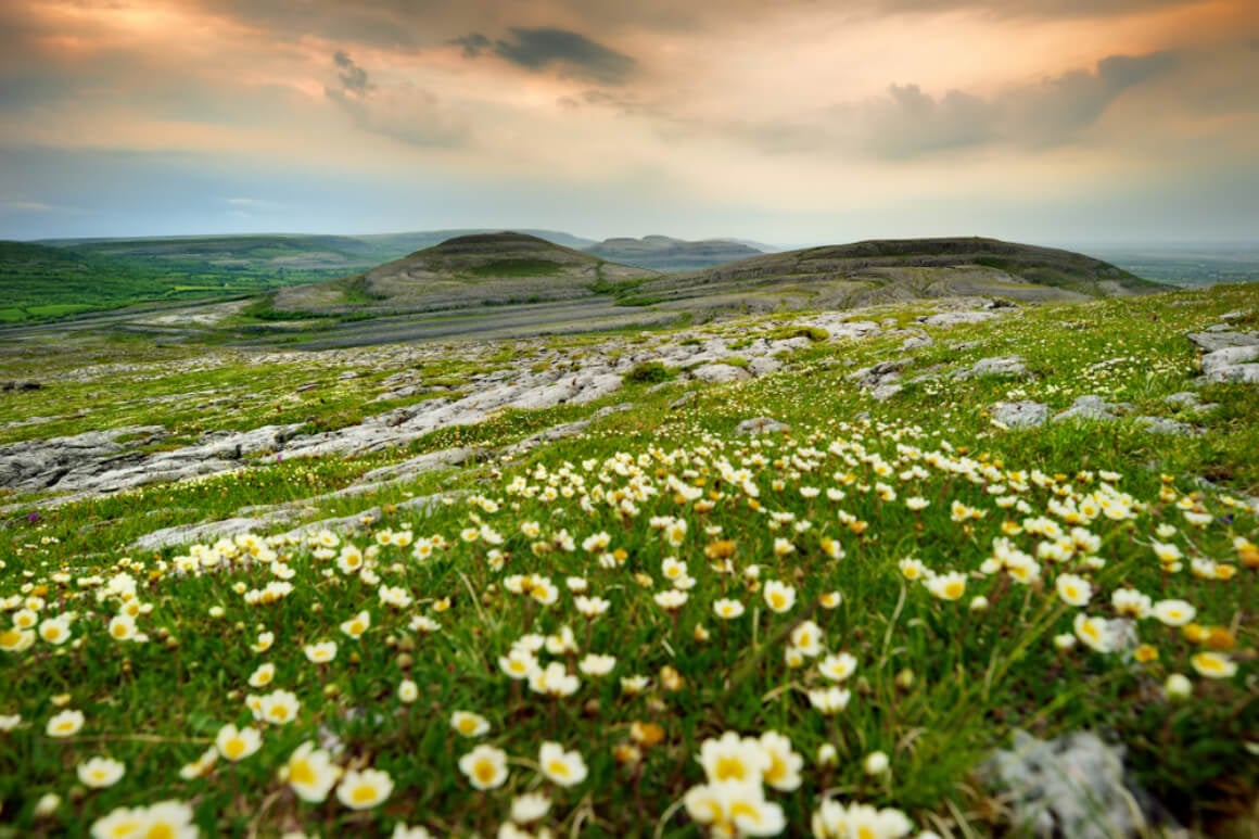 Burren National Park