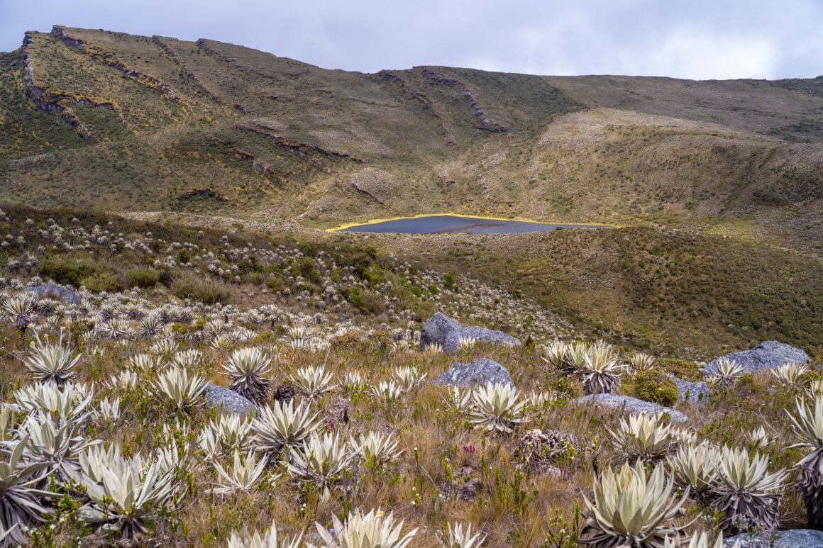 Chingaza National Park