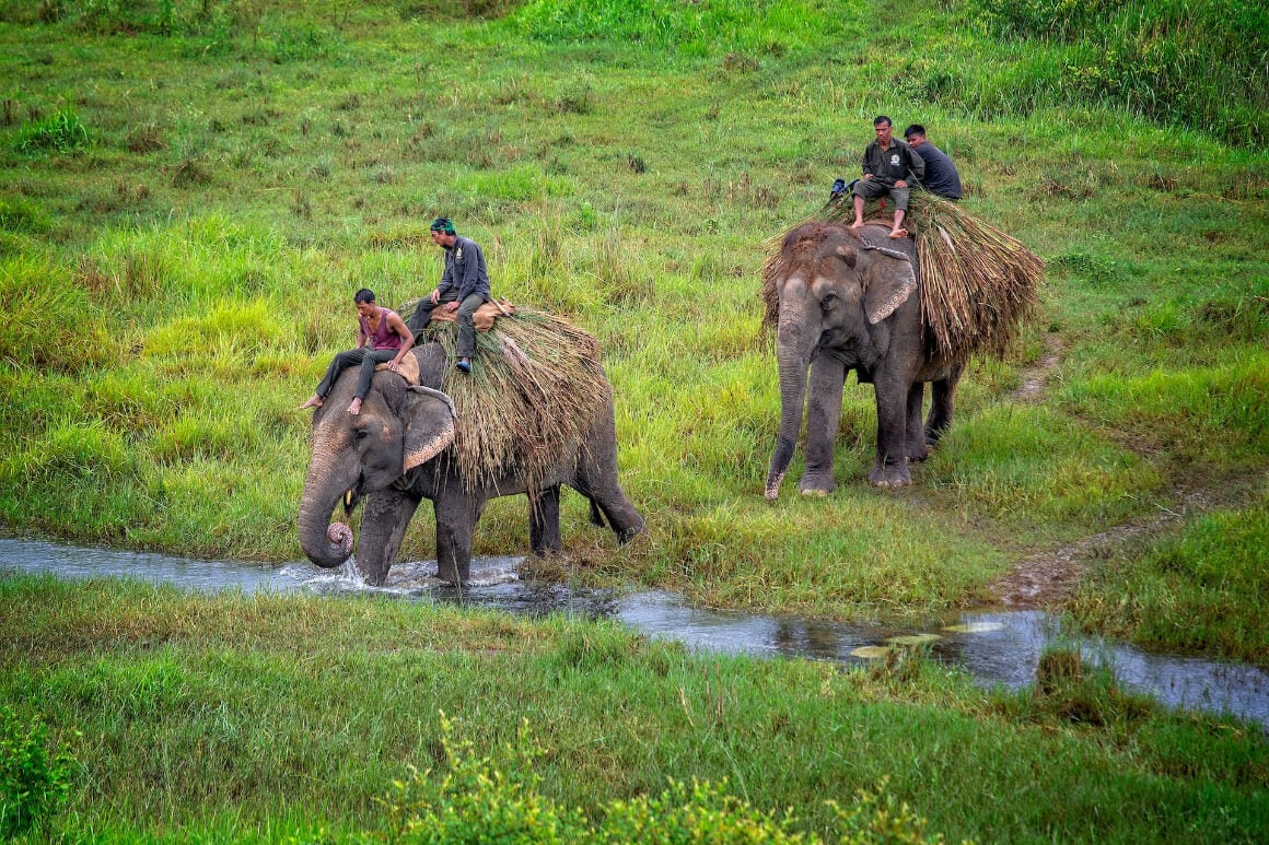 Chitwan National Park