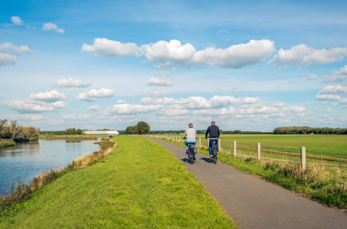 De Biesbosch National Park