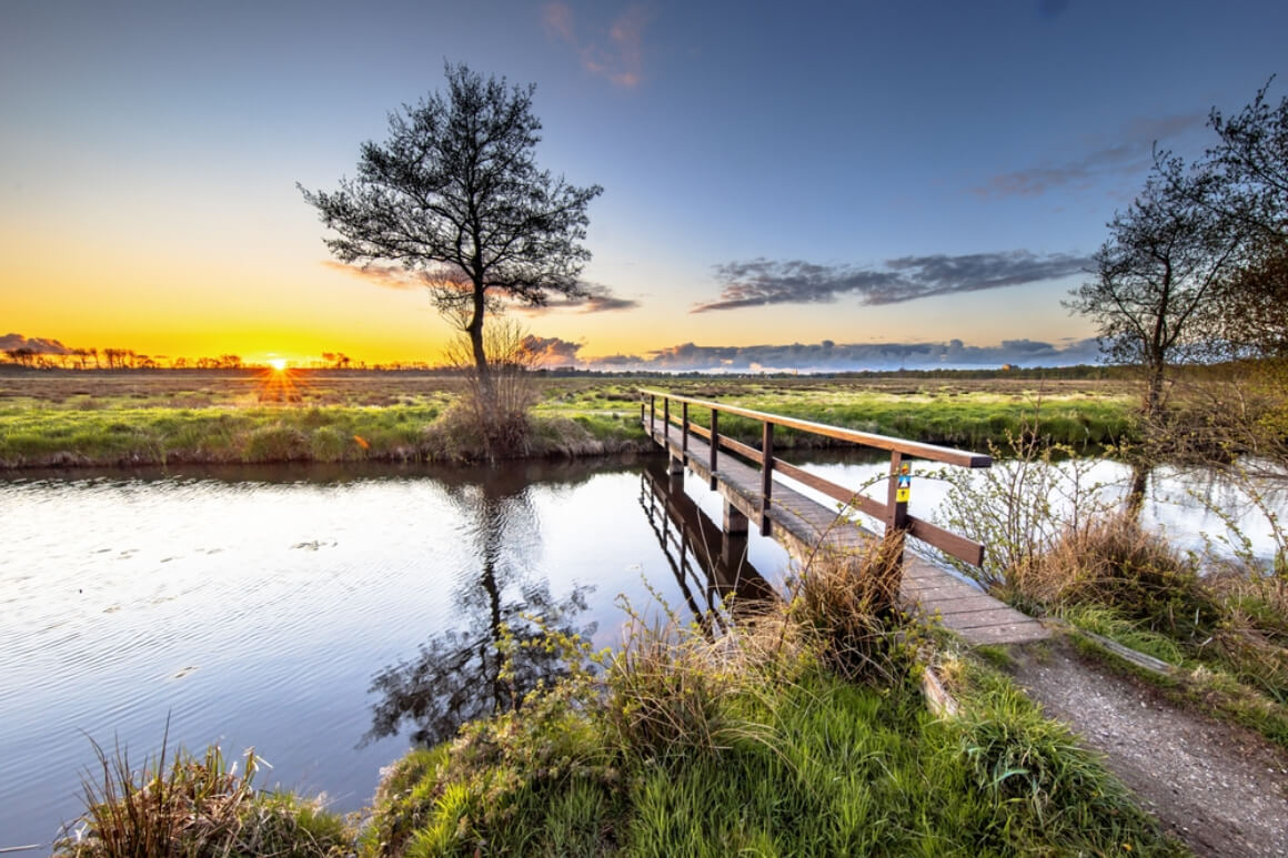 Drentsche Aa National Park