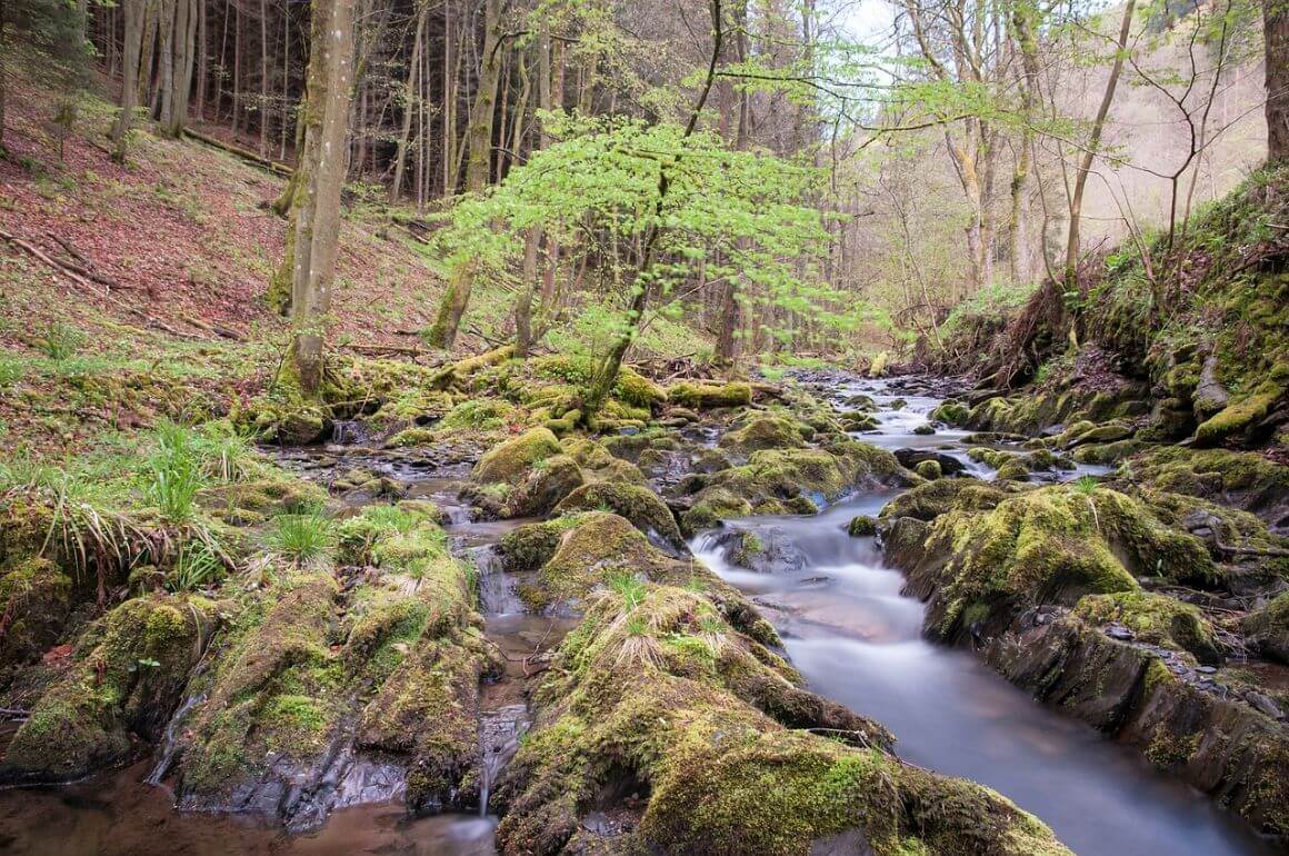 Eifel National Park