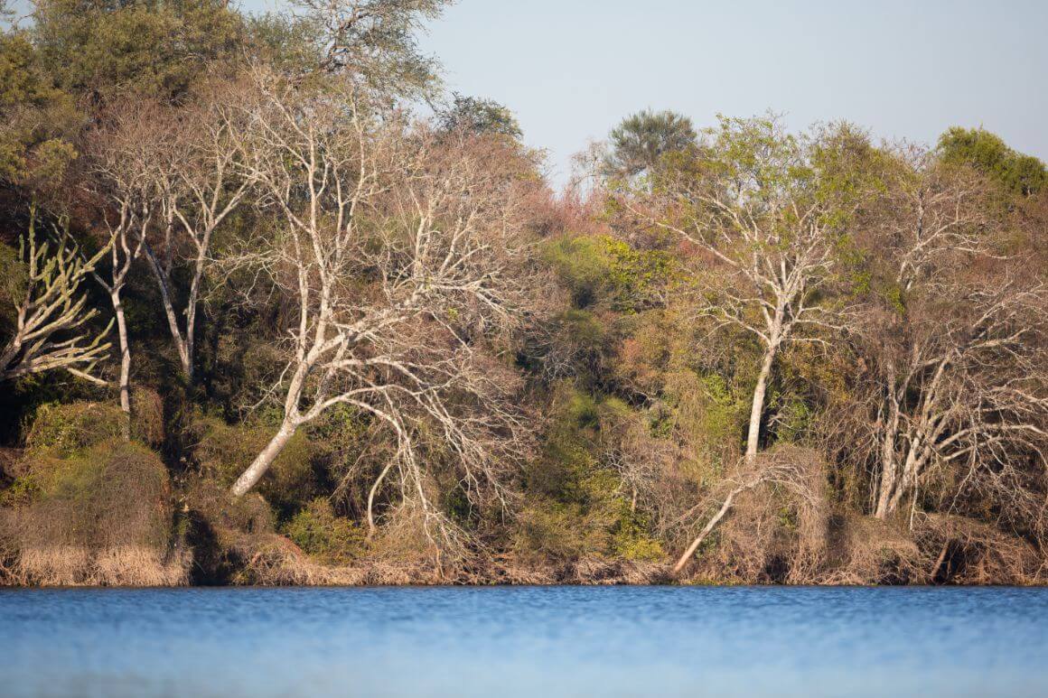 El Impenetrable National Park