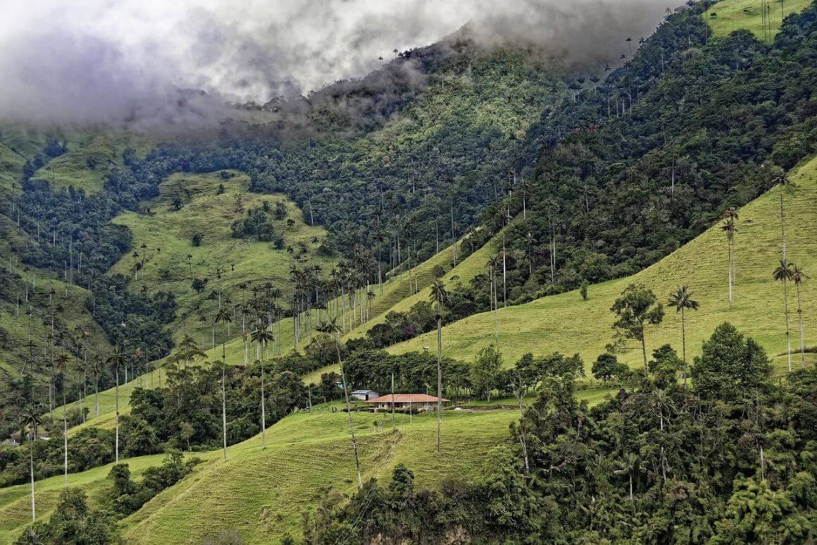 El Palmar National Park