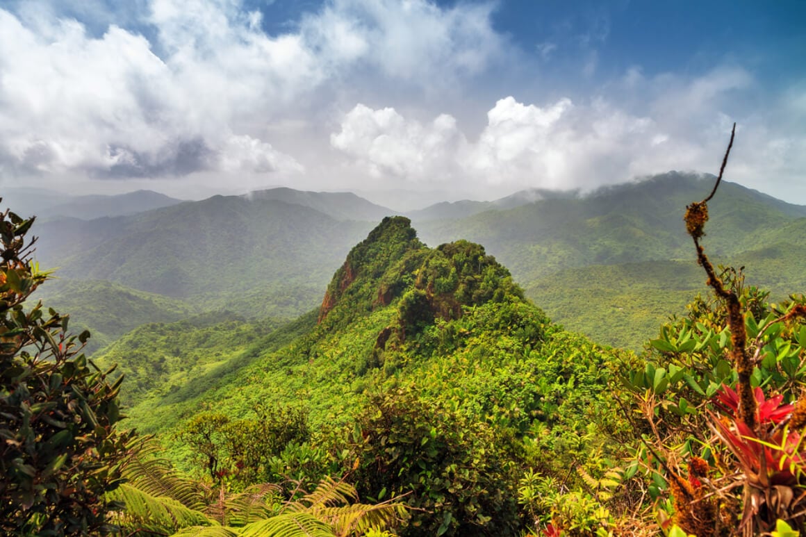 El Yunque Rainforest