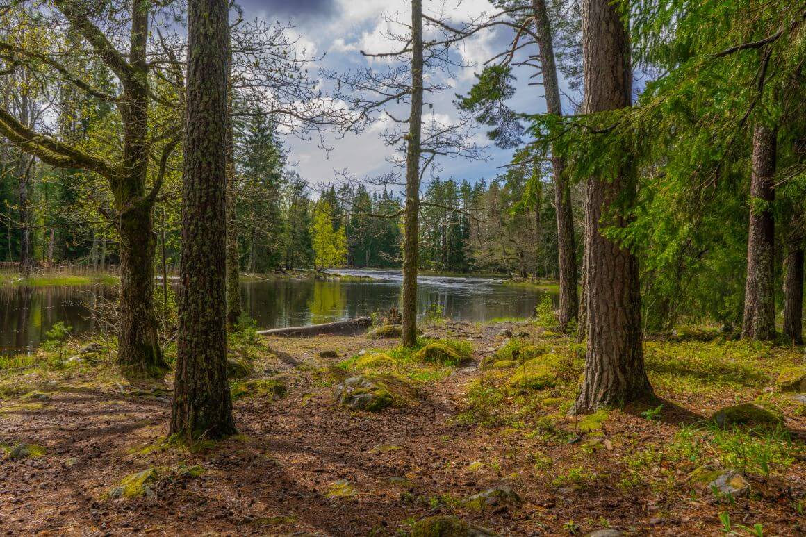 Farnebofjarden National Park