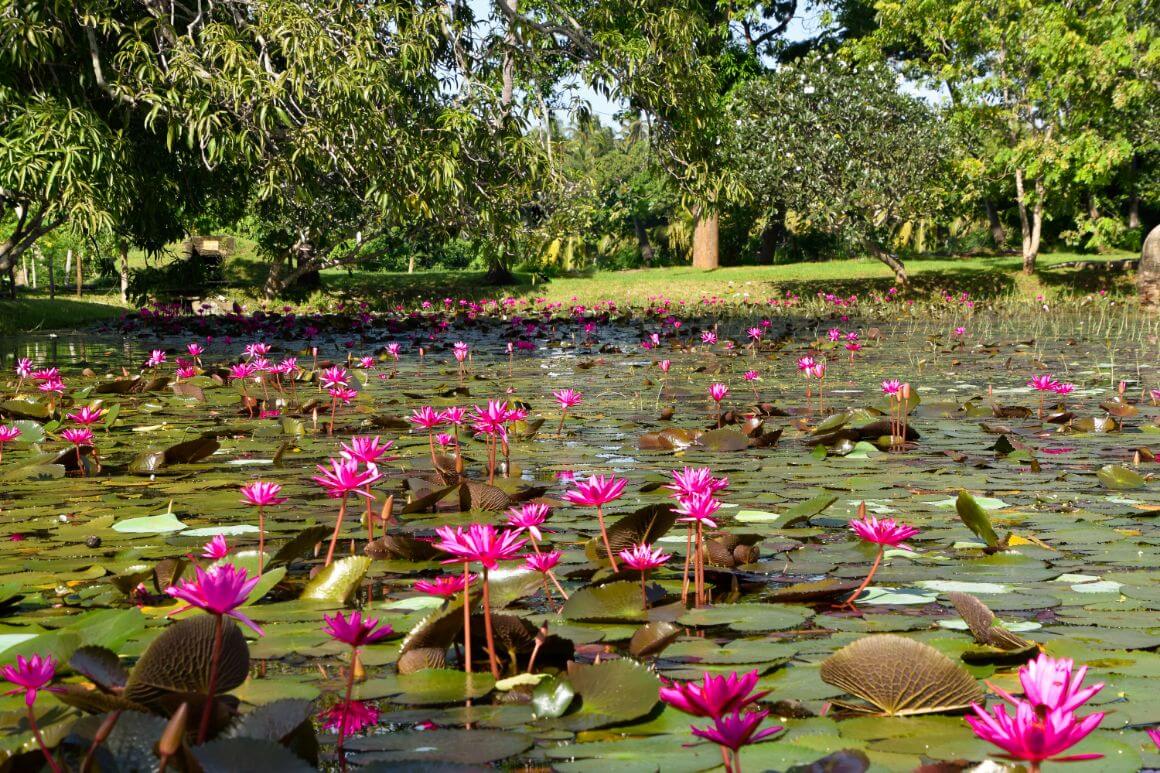 Gal Oya National Park