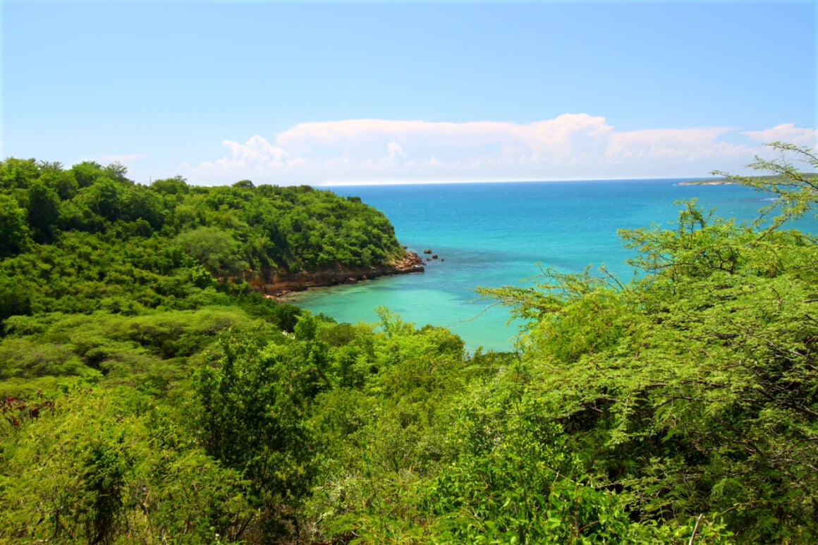 Guanica State Forest and Biosphere Reserve
