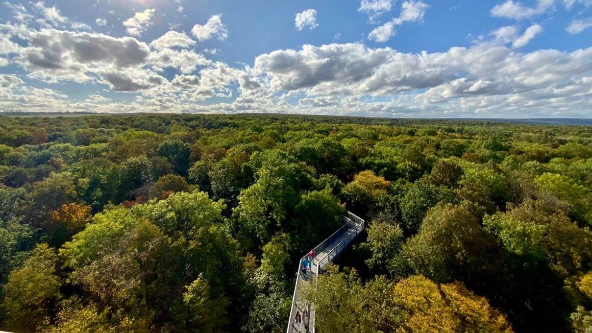 Hainich National Park