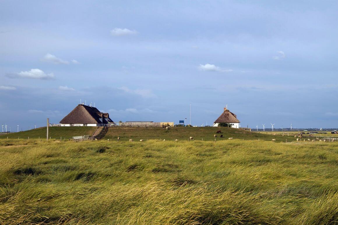 Hamburg Wadden Sea